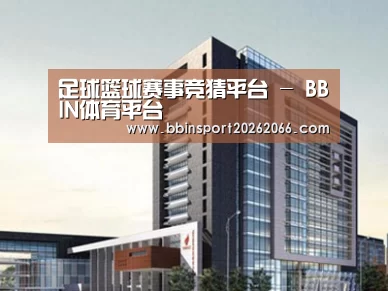 案例展示七